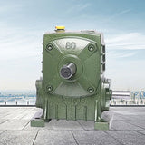 worm gear reducer